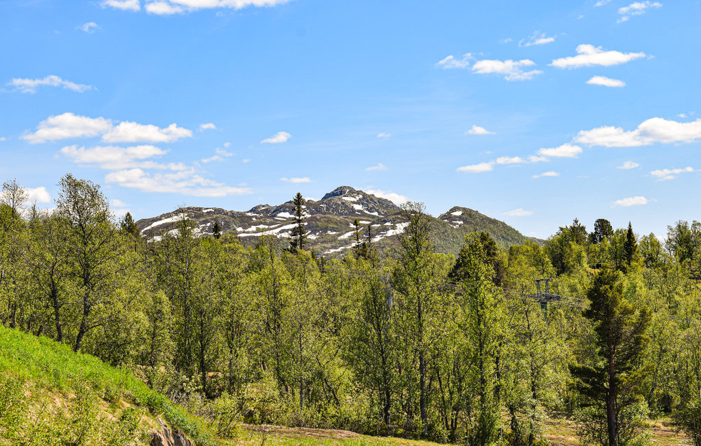 Ferienwohnung - Rauland , Norwegen - N35685 2