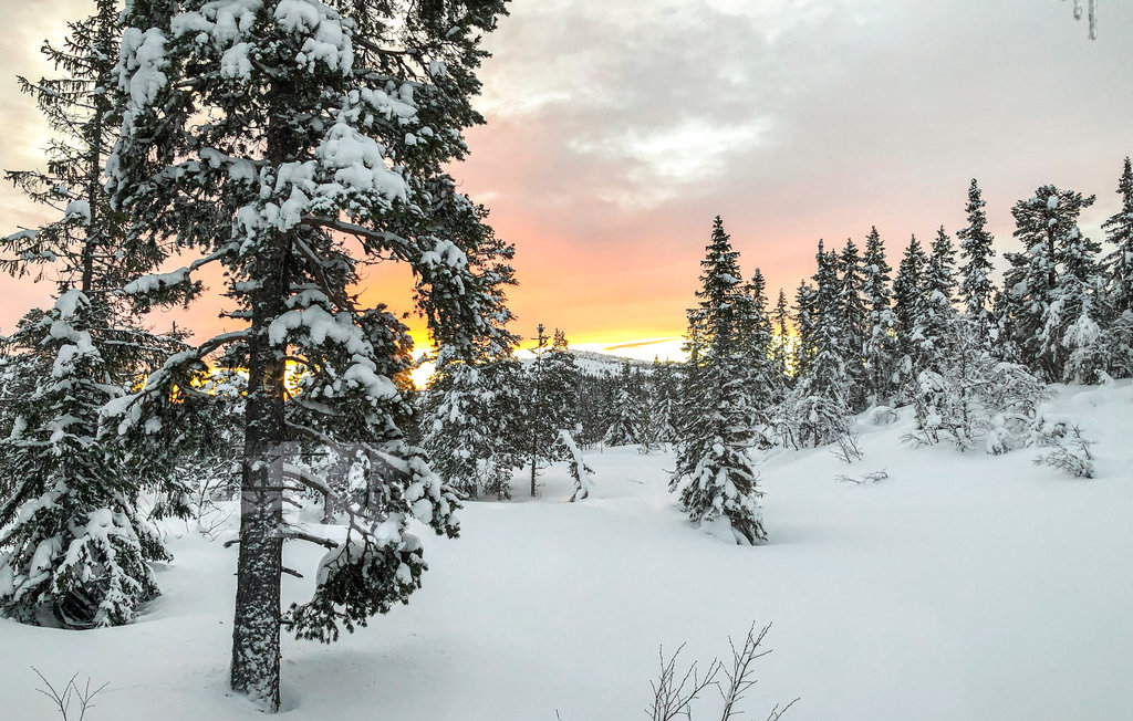 Feriehuse - Tuddal , Norge - N35724 29