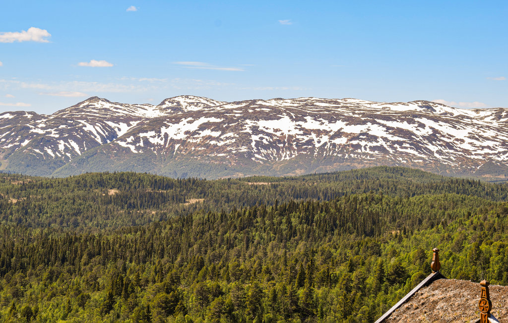 Ferienwohnung - Rauland , Norwegen - N35685 12