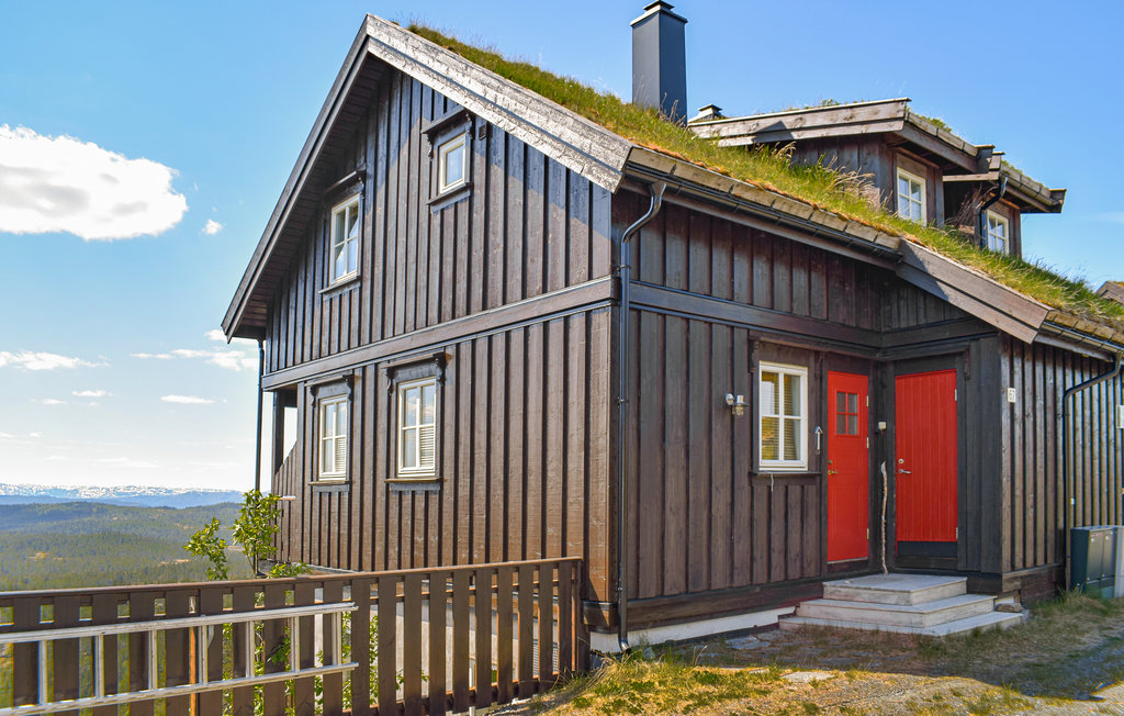 Ferienwohnung - Rauland , Norwegen - N35685 1