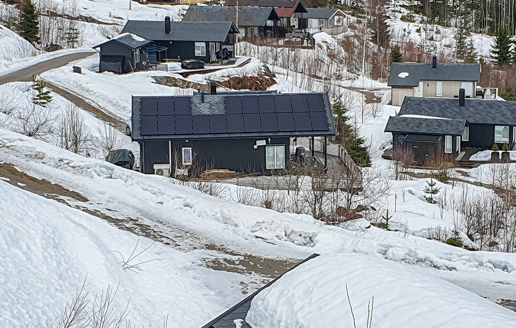 Feriehus - Treungen , Norge - N35721 9