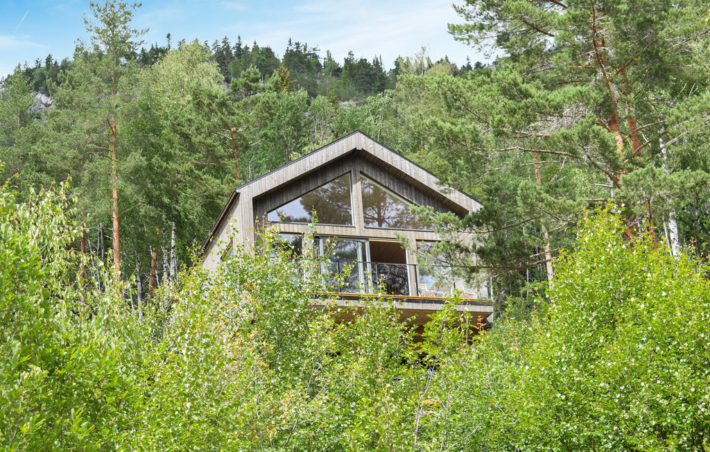 Semesterhus - Nissedal/Treungen , Norge - N35688 2