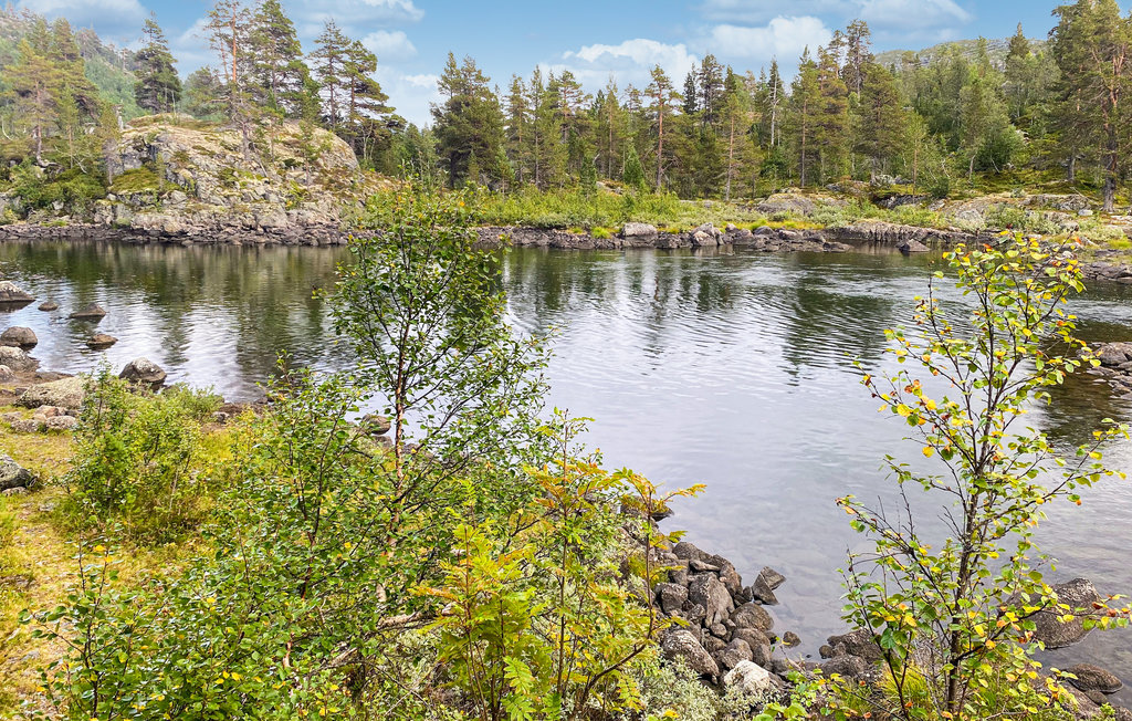 Ferienhaus - Haukelifjell , Norwegen - N35648 8