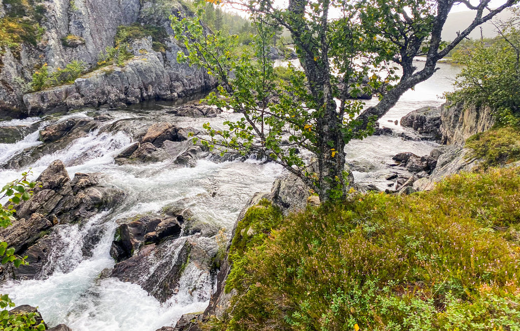 Ferienhaus - Haukelifjell , Norwegen - N35648 7