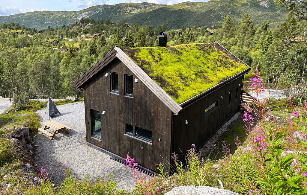 Ferienhaus - Haukelifjell , Norwegen - N35648 2