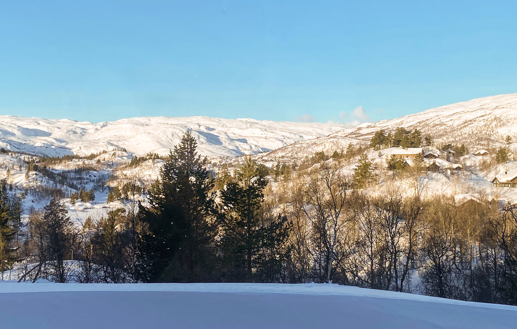 Ferienhaus - Haukelifjell , Norwegen - N35648 14
