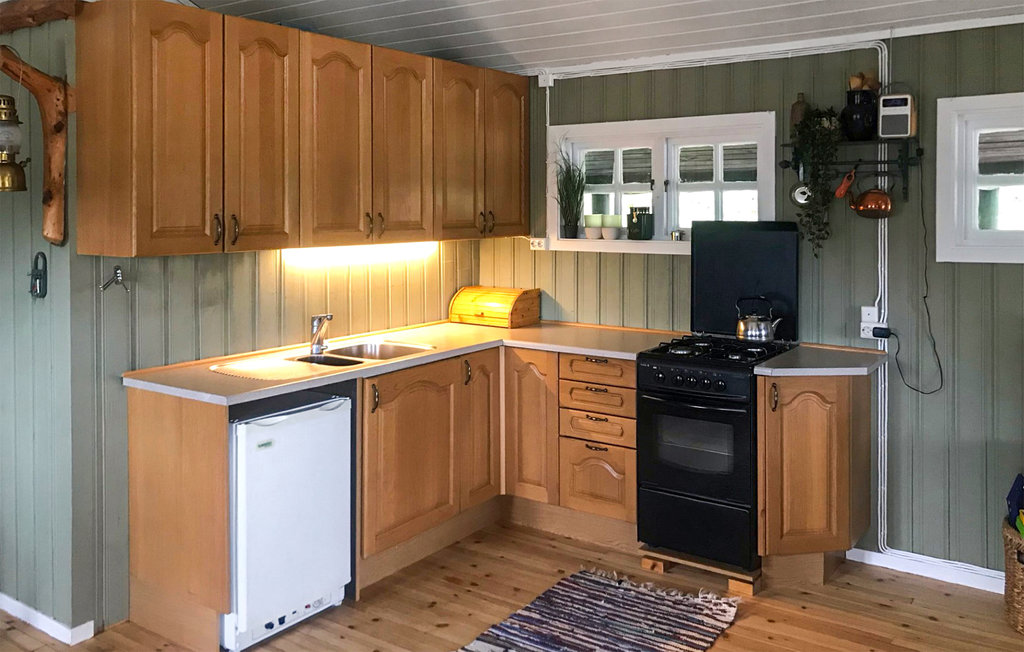 Ferienhaus - Fyresdal/Nesvatn/Vinsnes , Norwegen - N35696 4