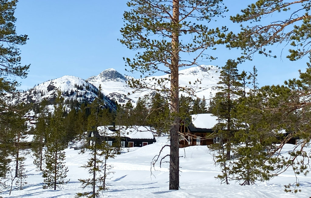 Ferienhaus - Tuddal , Norwegen - N35697 18