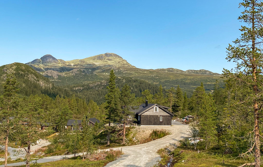 Ferienhaus - Tuddal , Norwegen - N35697 3