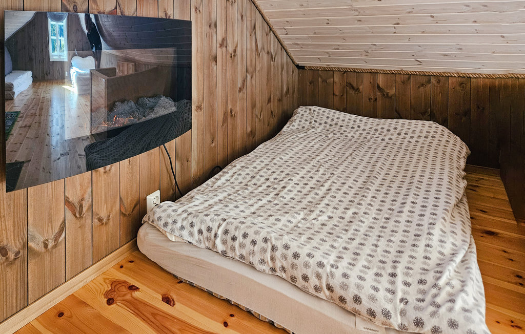 Feriehuse - Telemark/Hjartdal , Norge - N35668 18