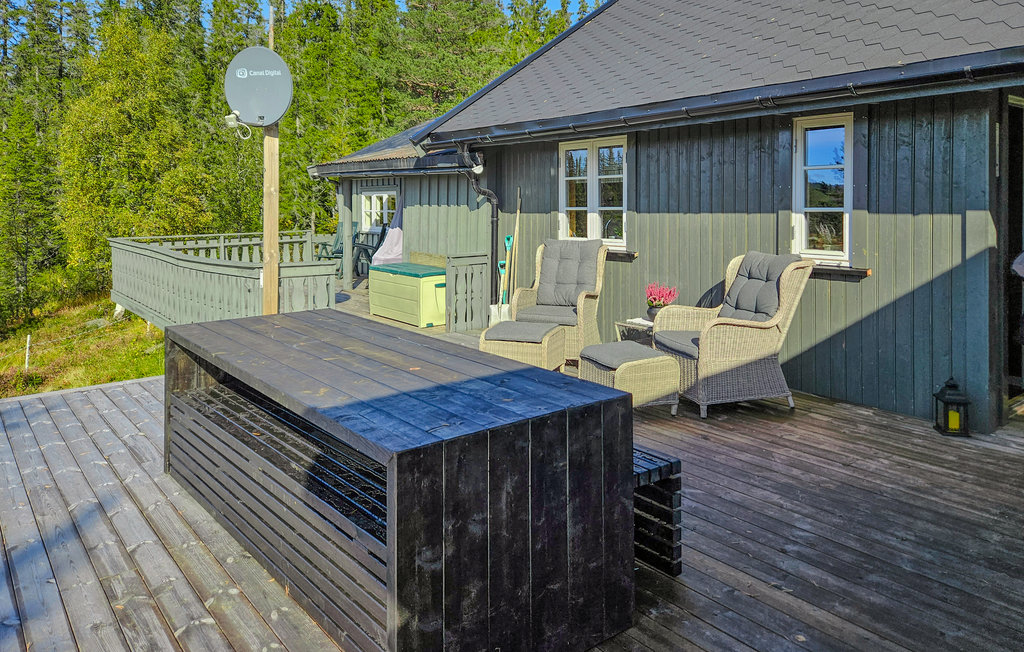 Feriehuse - Telemark/Hjartdal , Norge - N35668 10