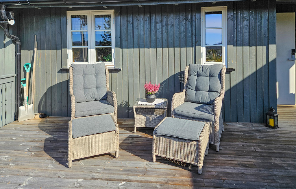 Feriehuse - Telemark/Hjartdal , Norge - N35668 8