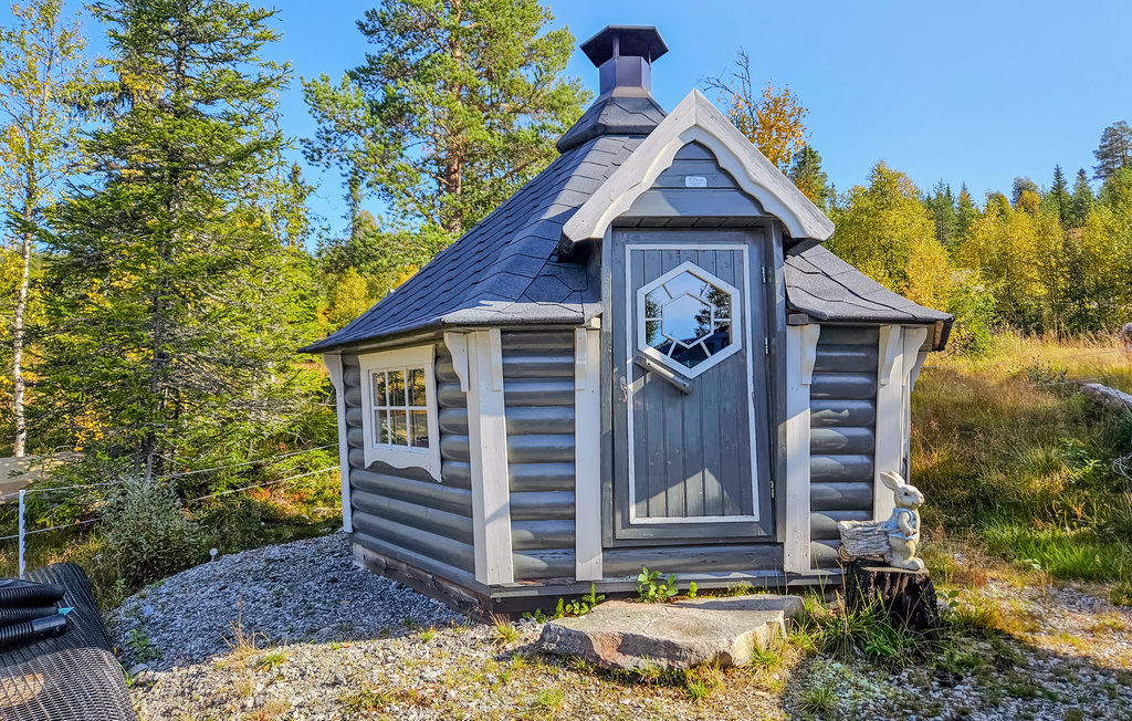 Feriehuse - Telemark/Hjartdal , Norge - N35668 9