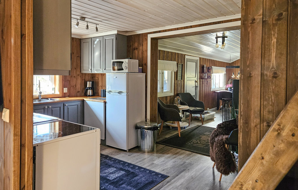 Feriehuse - Telemark/Hjartdal , Norge - N35668 15