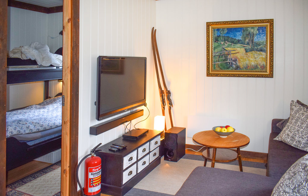 Ferienhaus - Fyresdal/Birtevann , Norwegen - N35698 15