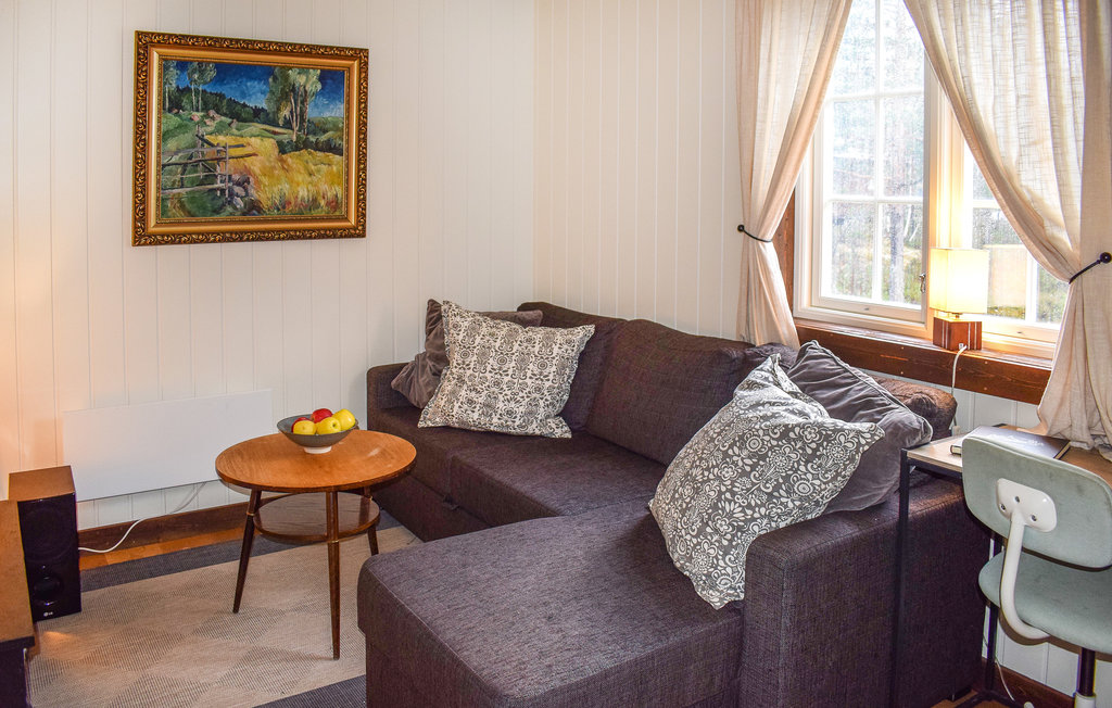 Ferienhaus - Fyresdal/Birtevann , Norwegen - N35698 5