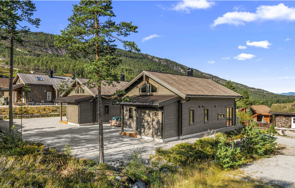 Feriehus - Vrådal , Norge - N35581 11