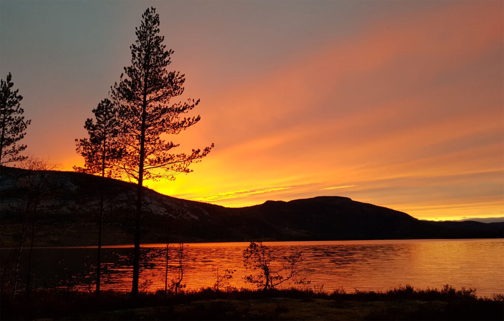 Ferienhaus - Telemark/Fyresdal , Norwegen - N35623 19