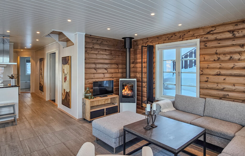 Feriehus - Rauland/Holtardalen , Norge - N35706 4