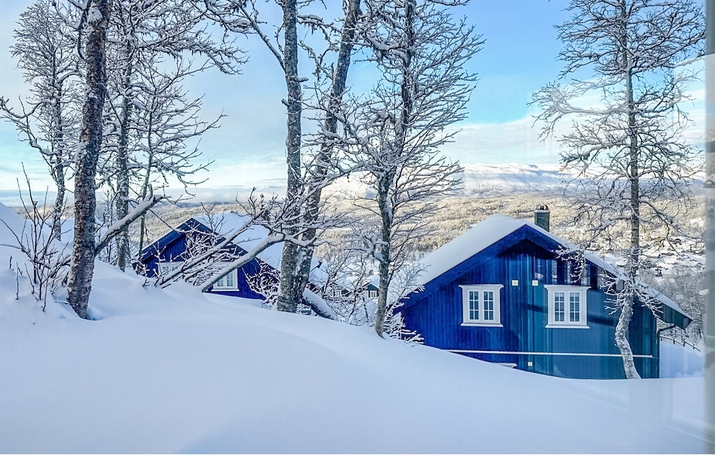 Feriehus - Rauland/Holtardalen , Norge - N35706 15