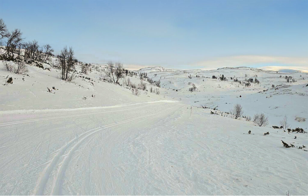 Ferienhaus - Rauland/Holtardalen , Norwegen - N35722 9