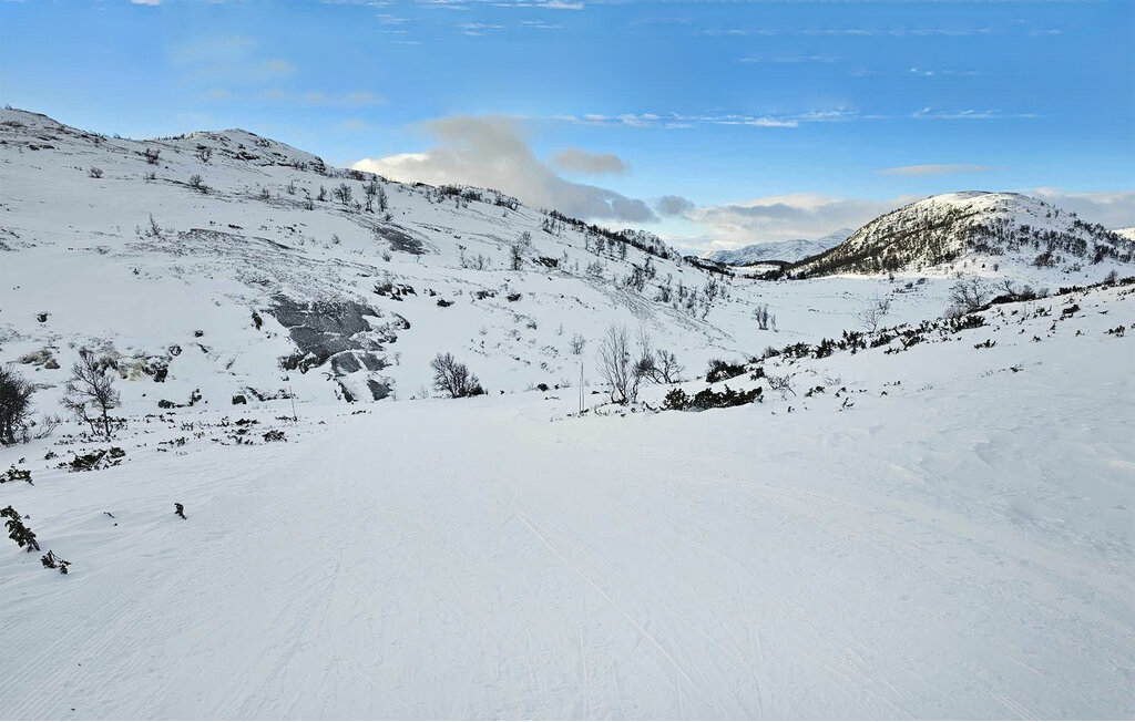 Ferienhaus - Rauland/Holtardalen , Norwegen - N35722 24