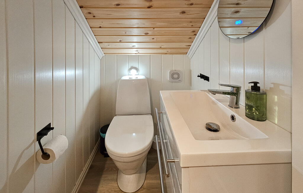 Ferienhaus - Rauland/Holtardalen , Norwegen - N35722 20