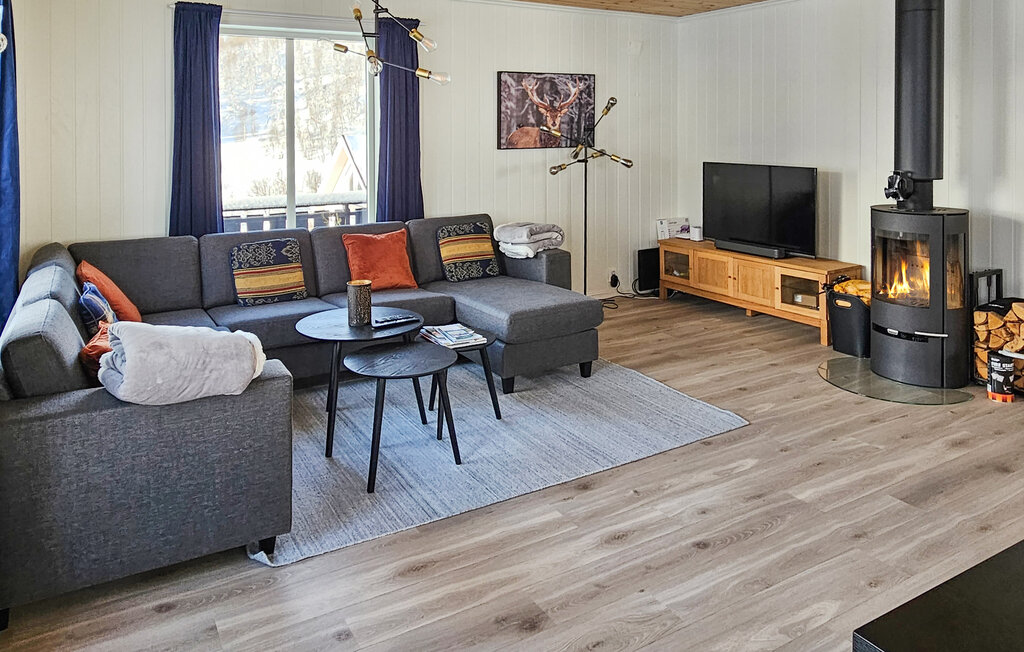 Ferienhaus - Rauland/Holtardalen , Norwegen - N35722 3