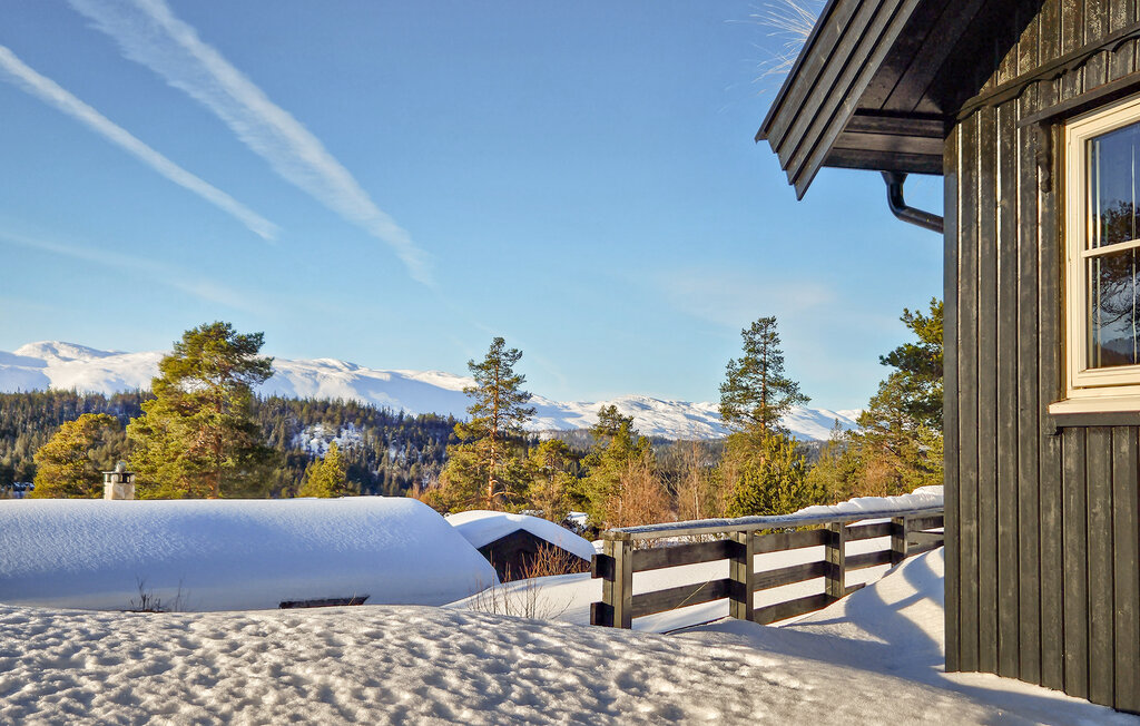 Ferienhaus - Rauland , Norwegen - N35730 9