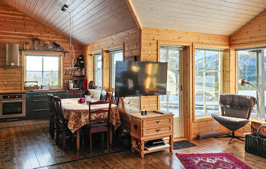 Ferienhaus - Rauland , Norwegen - N35730 5