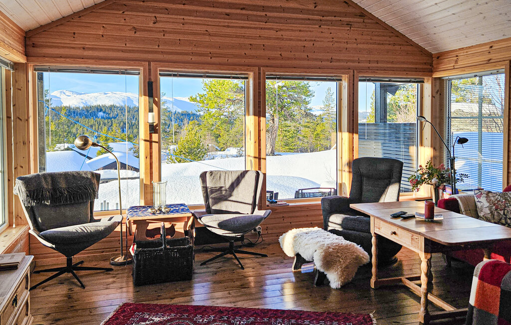 Ferienhaus - Rauland , Norwegen - N35730 3