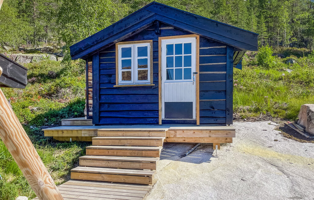 Ferienhaus - Fyresdal/Nesvatn/Vinsnes , Norwegen - N35696 11