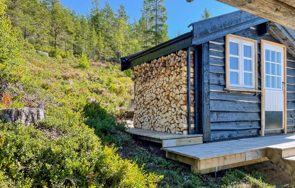 Ferienhaus - Fyresdal/Nesvatn/Vinsnes , Norwegen - N35696 12