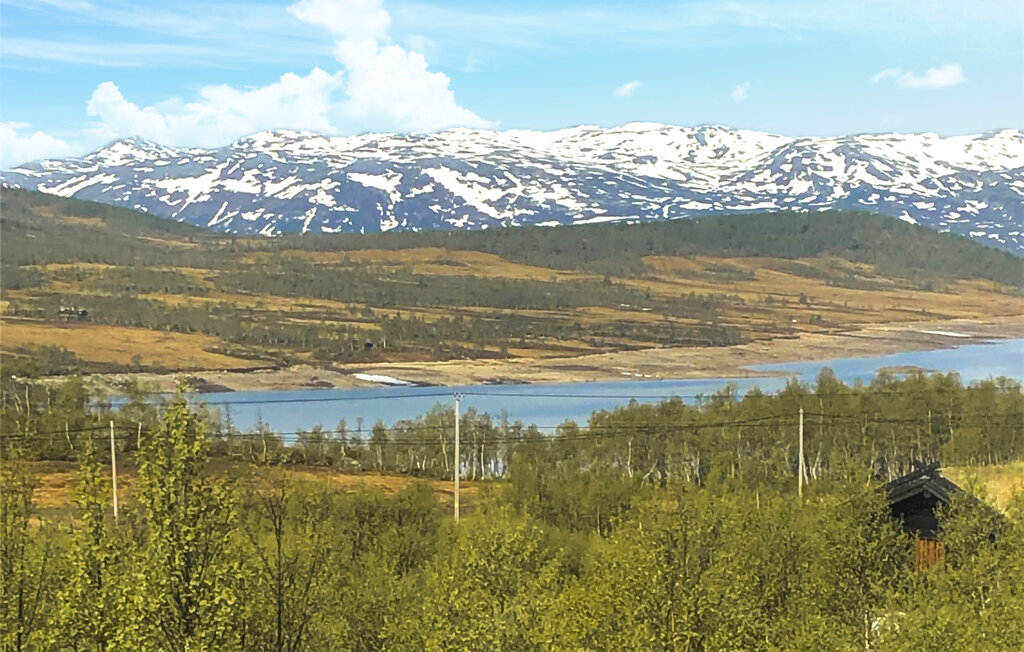 Feriehuse - Rauland , Norge - N35735 8