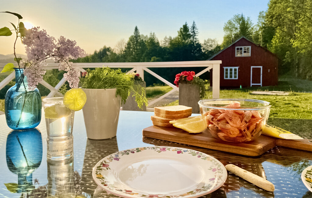 Feriehus - Midt Telemark, Lunde , Norge - N35523 12