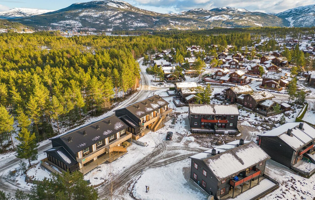 Ferienwohnung - Vrådal , Norwegen - N35752 1