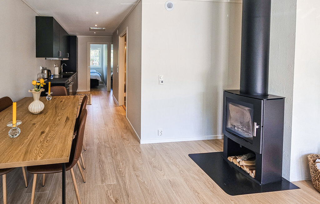 Ferienwohnung - Vrådal , Norwegen - N35752 5