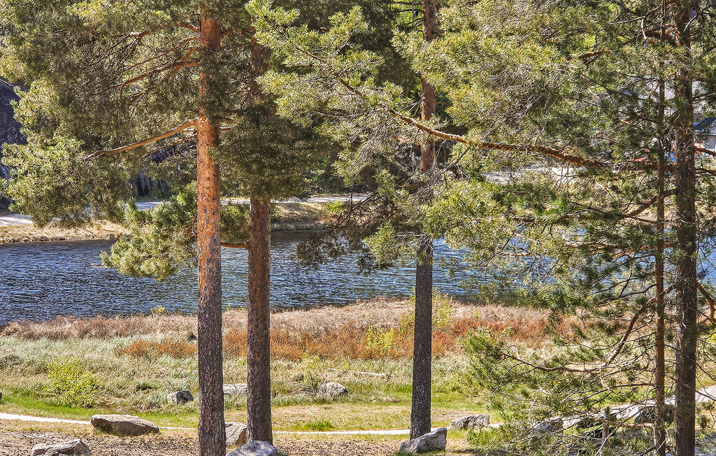 Ferienwohnung - Vrådal , Norwegen - N35752 15