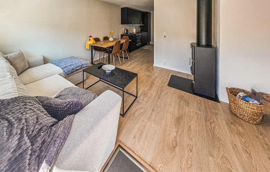 Ferienwohnung - Vrådal , Norwegen - N35752 3