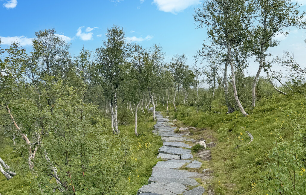 Domy wakacyjne - Rauland , Norwegia - N35751 37