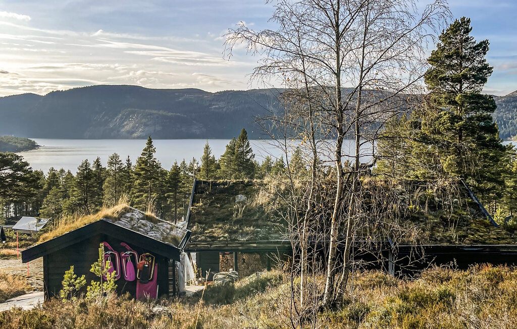 Ferienhaus - Fyresdal/Nesvatn/Vinsnes , Norwegen - N35696 2