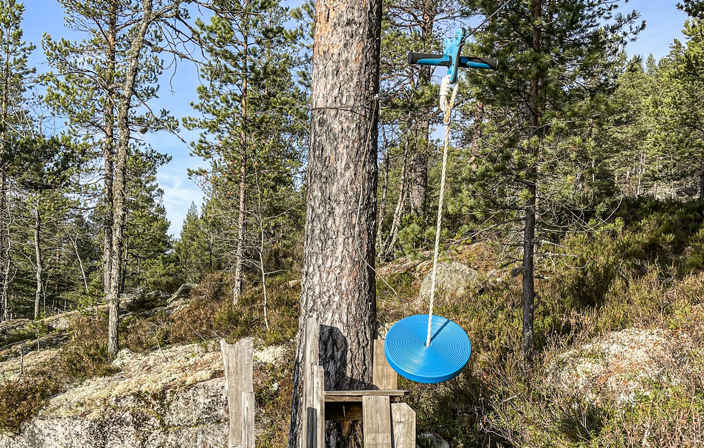 Ferienhaus - Fyresdal/Nesvatn/Vinsnes , Norwegen - N35696 6