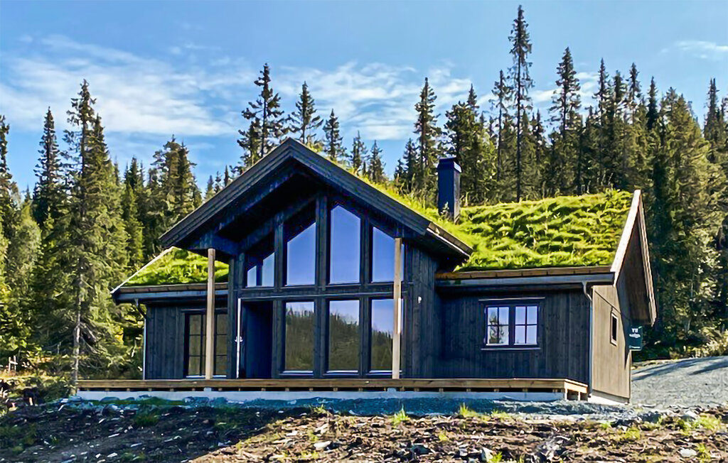 Ferienhaus - Øyfjell/Vinje i Telemark , Norwegen - N35774 1