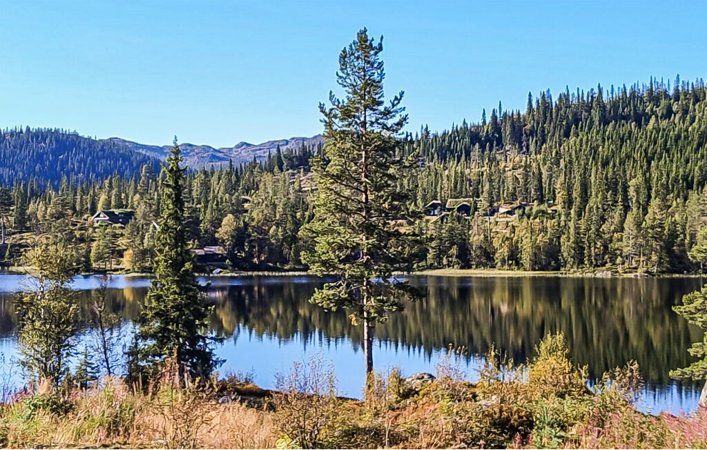 Ferienhaus - Øyfjell/Vinje i Telemark , Norwegen - N35774 6