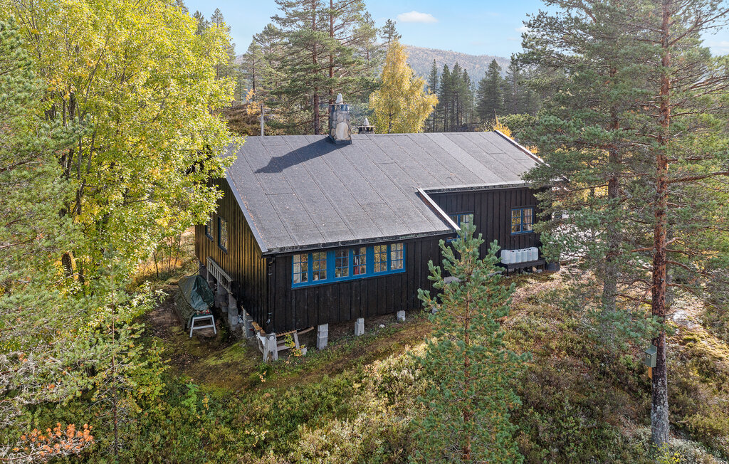 Feriehuse - Telemark, Fyresdal , Norge - N35777 10