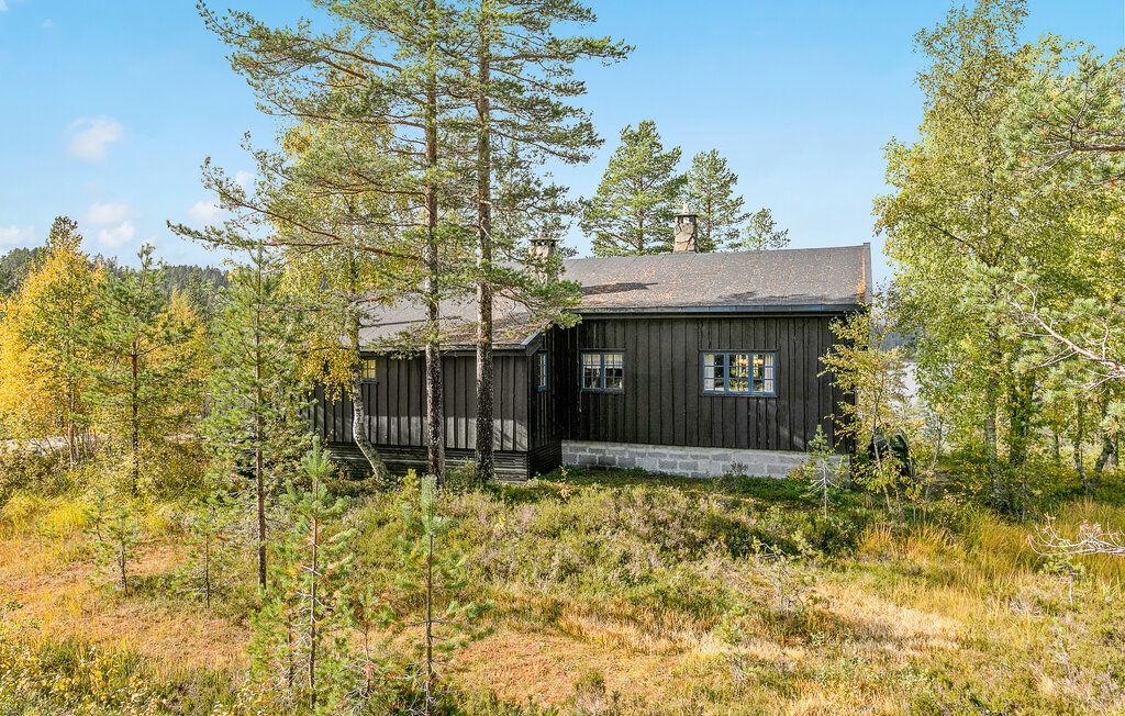 Feriehuse - Telemark, Fyresdal , Norge - N35777 11