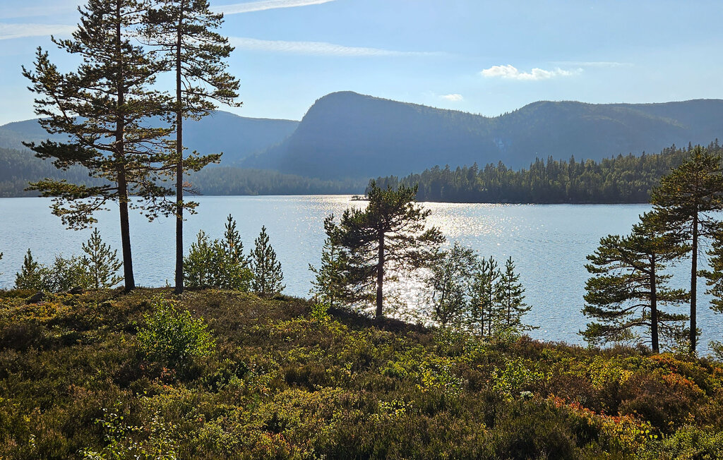 Feriehuse - Telemark, Fyresdal , Norge - N35777 25