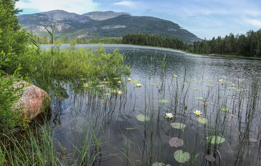 Ferienhaus - Vrådal , Norwegen - N35548 21
