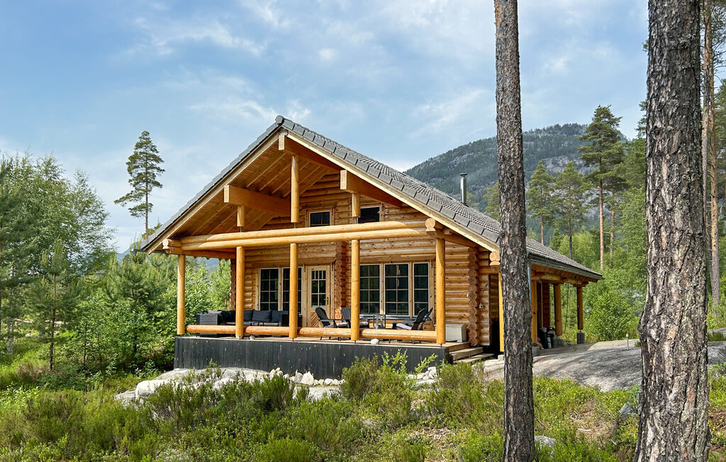 Ferienhaus - Vrådal , Norwegen - N35548 1