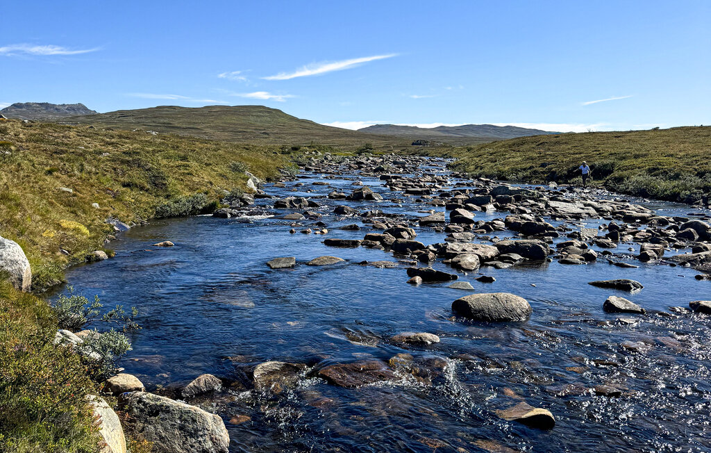 Ferienhaus - Hovden , Norwegen - N35638 9